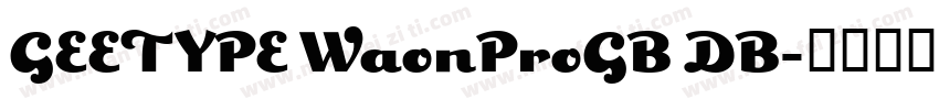 GEETYPE WaonProGB DB字体转换